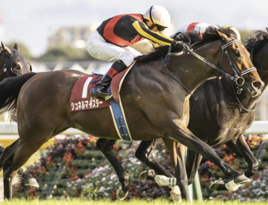 宅配便配送 サイレンススズカ 宝塚記念 1998年天皇賞・秋 単勝馬券